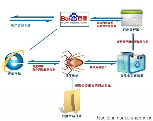 芜湖网站优化如何吸引百度蜘蛛的青睐？